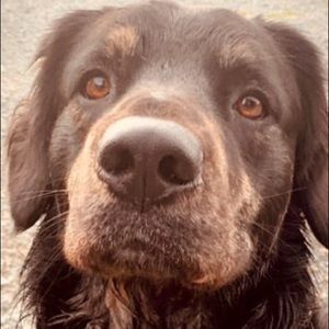 Meet your Posher, Eddie